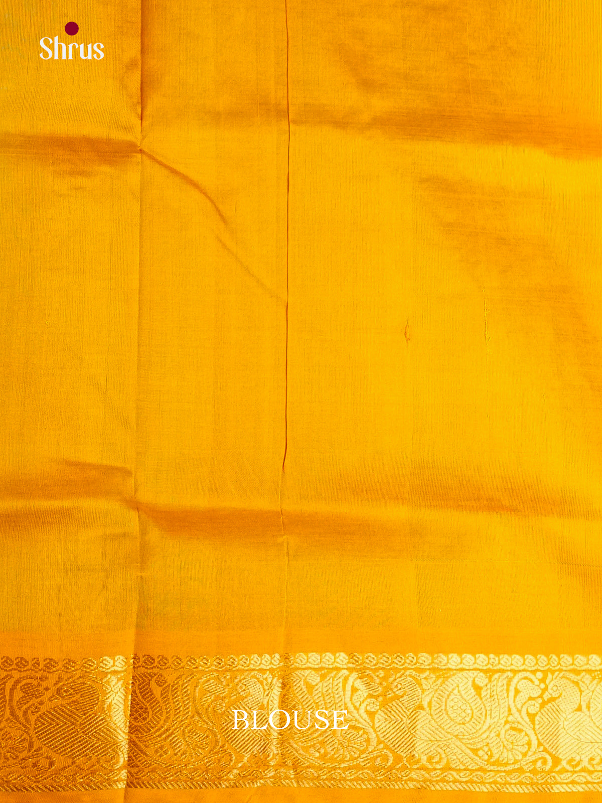 Buy Graceful Maanthulir Saree Online with Paisley Floral Motifs & Mustard Zari Pallu