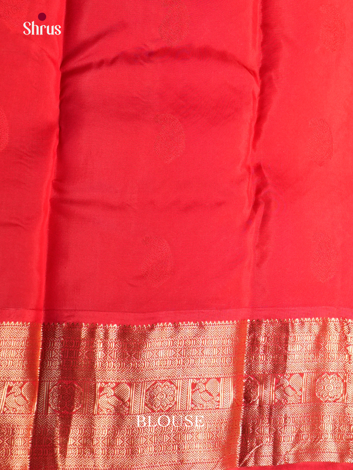 Sky Blue & red - Kanchipuram-halfpure - Saree- EAS28159 - Shop on Shrus.com