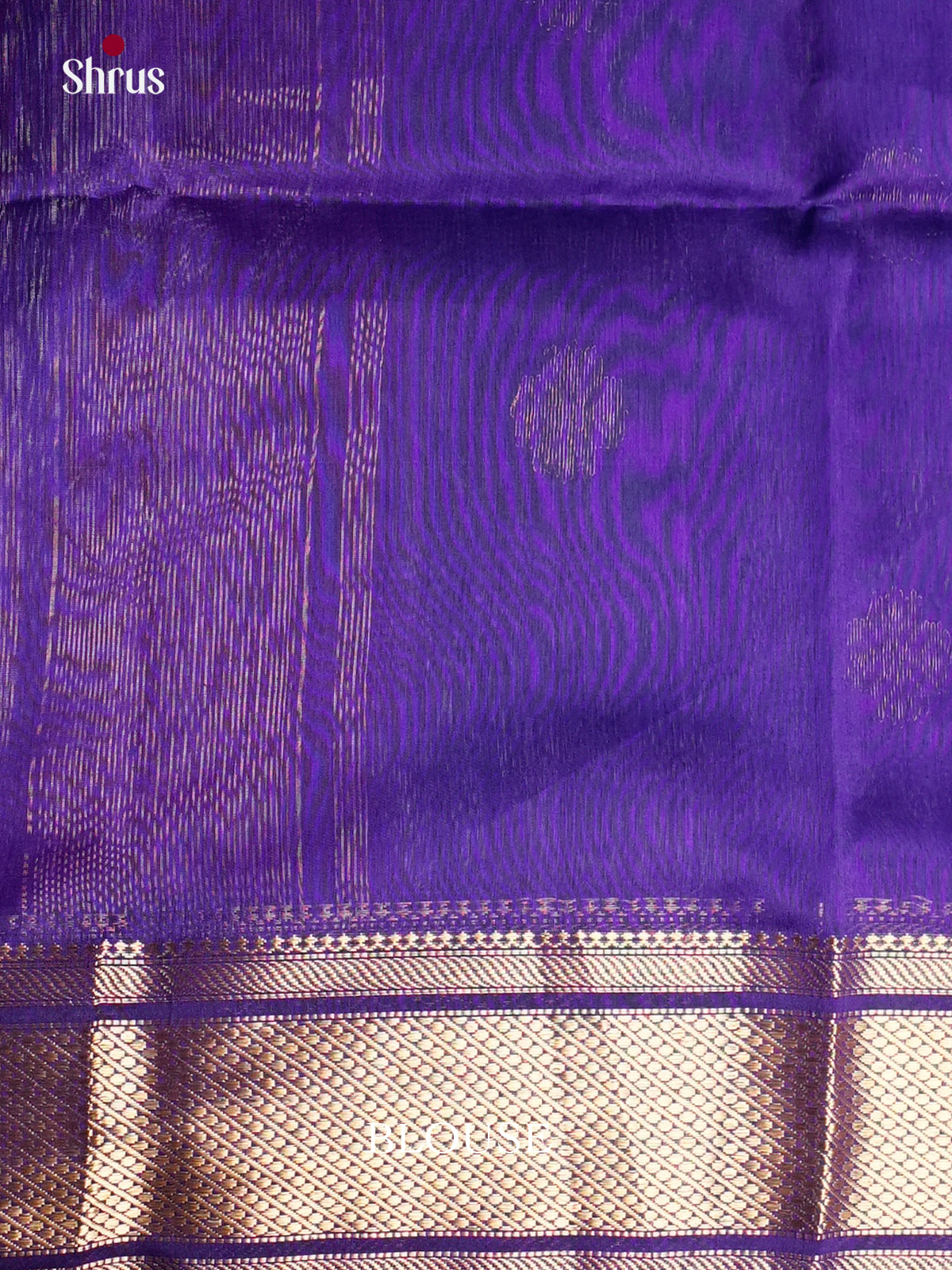 EAS30145 - Maheshwari silkcotton - Saree - Shop on Shrus.com