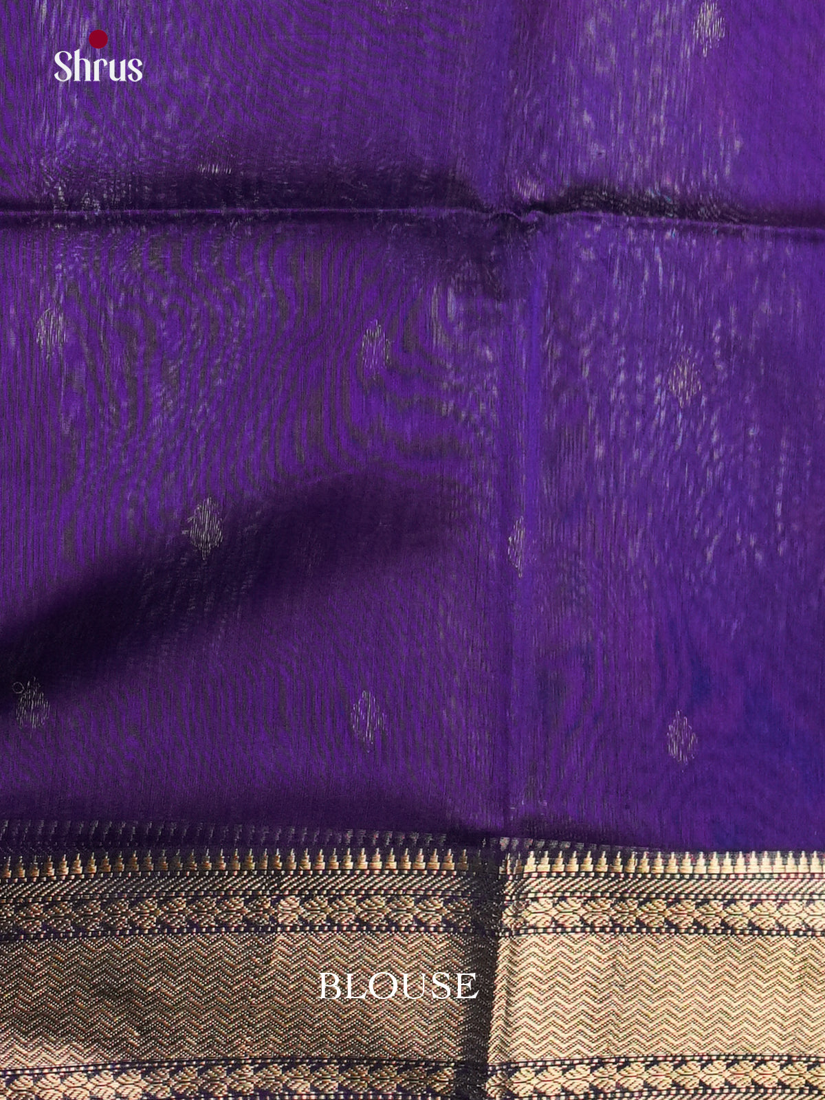 EAS30156 - Maheshwari silkcotton - Saree - Shop on Shrus.com