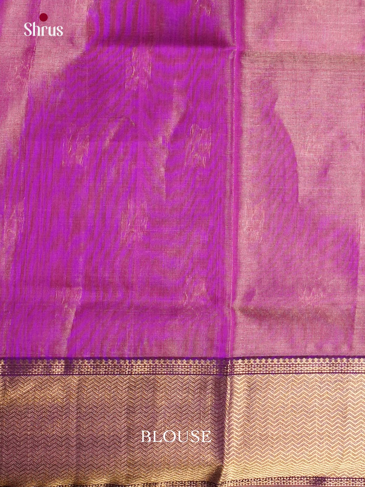 EAS30212 - Maheshwari silkcotton - Saree - Shop on Shrus.com