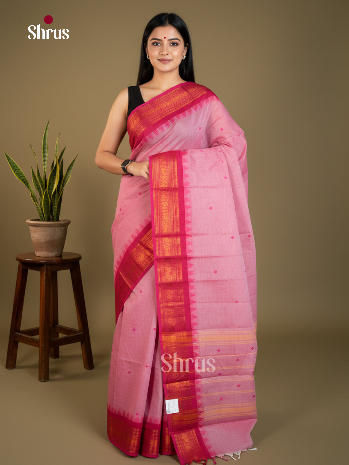 EAS30736 - Chettinad Cotton - Saree - Shop on Shrus.com
