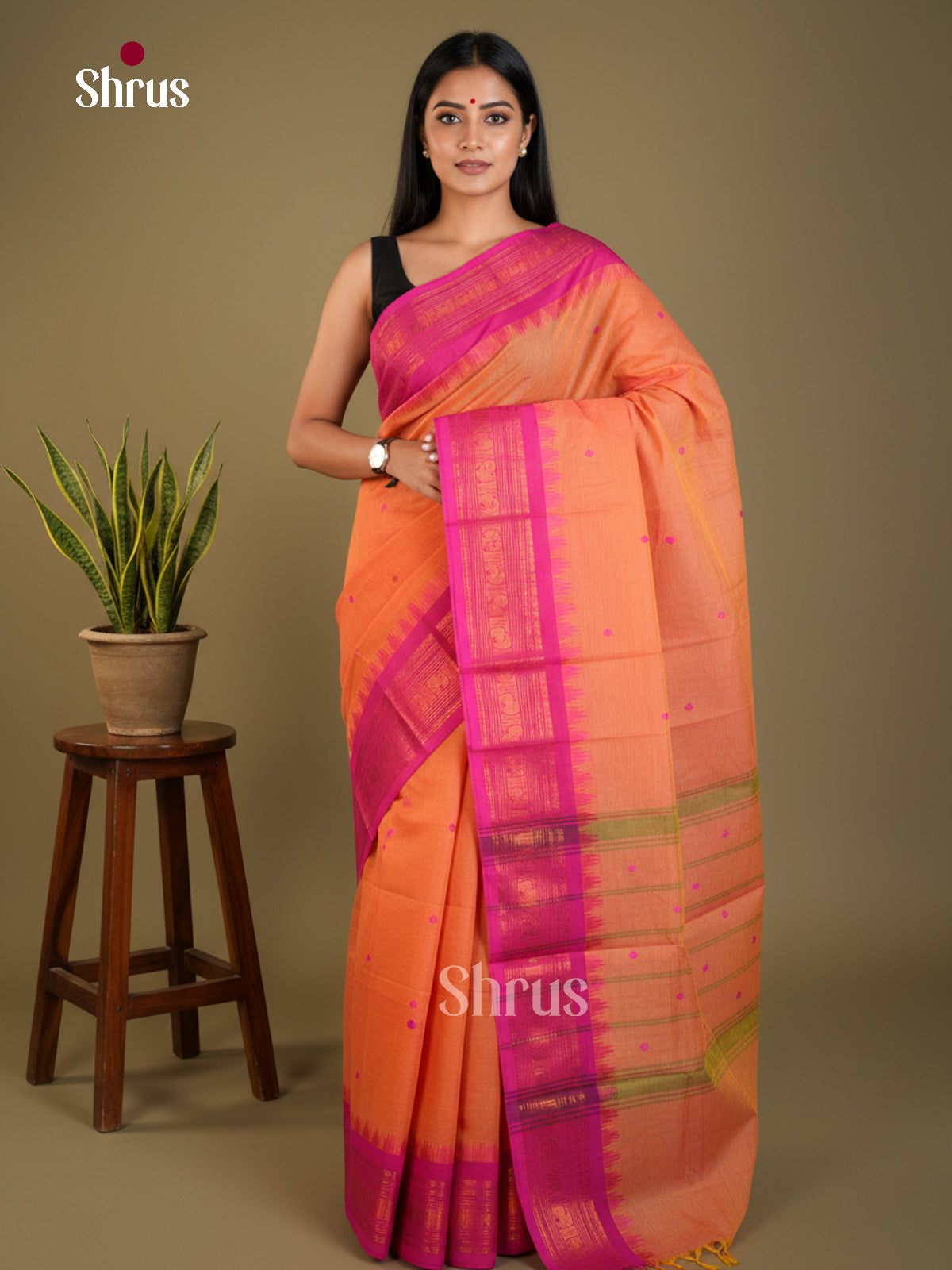 EAS30737 - Chettinad Cotton - Saree - Shop on Shrus.com