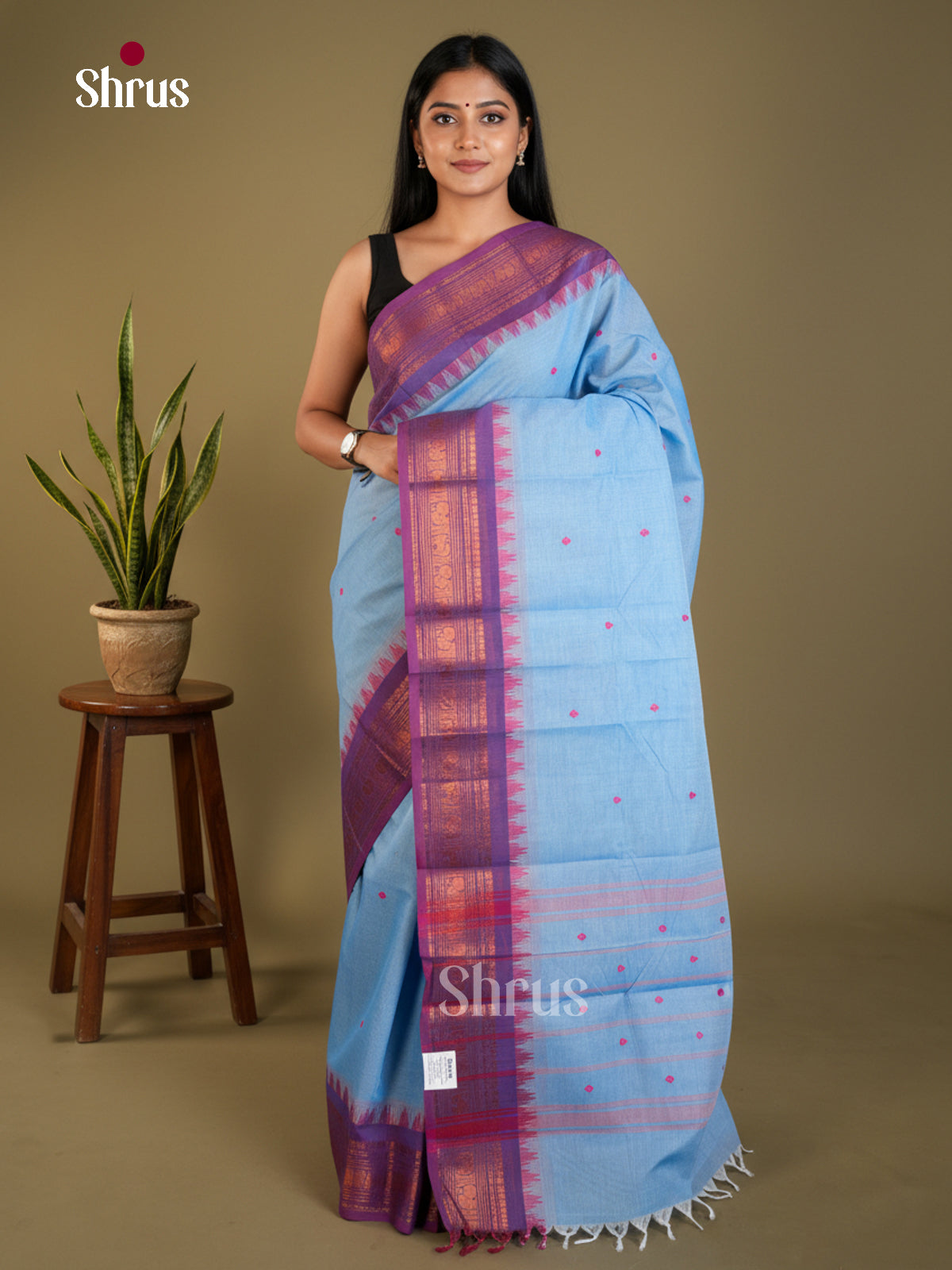 EAS30742 - Chettinad Cotton - Saree - Shop on Shrus.com