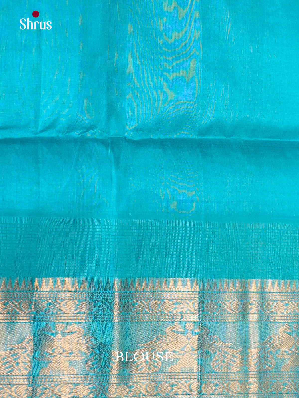 EBS01489 - NON KORVAI MEDIUM BORDER-Checks - Saree - Shop on Shrus.com