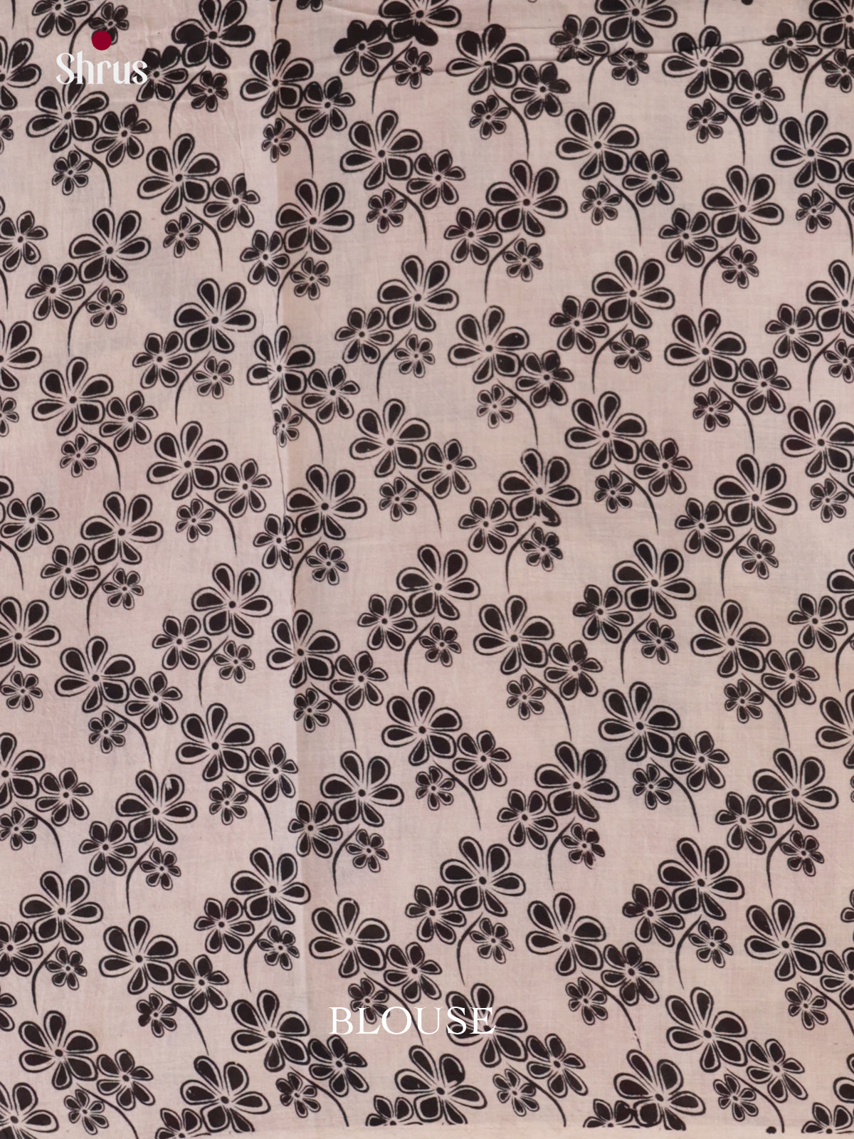 EBS01594 - kalamkari-cotton - Saree - Shop on Shrus.com