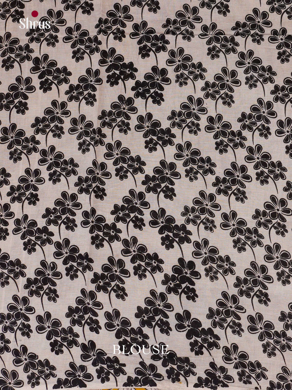 EBS01596 - kalamkari-cotton - Saree - Shop on Shrus.com
