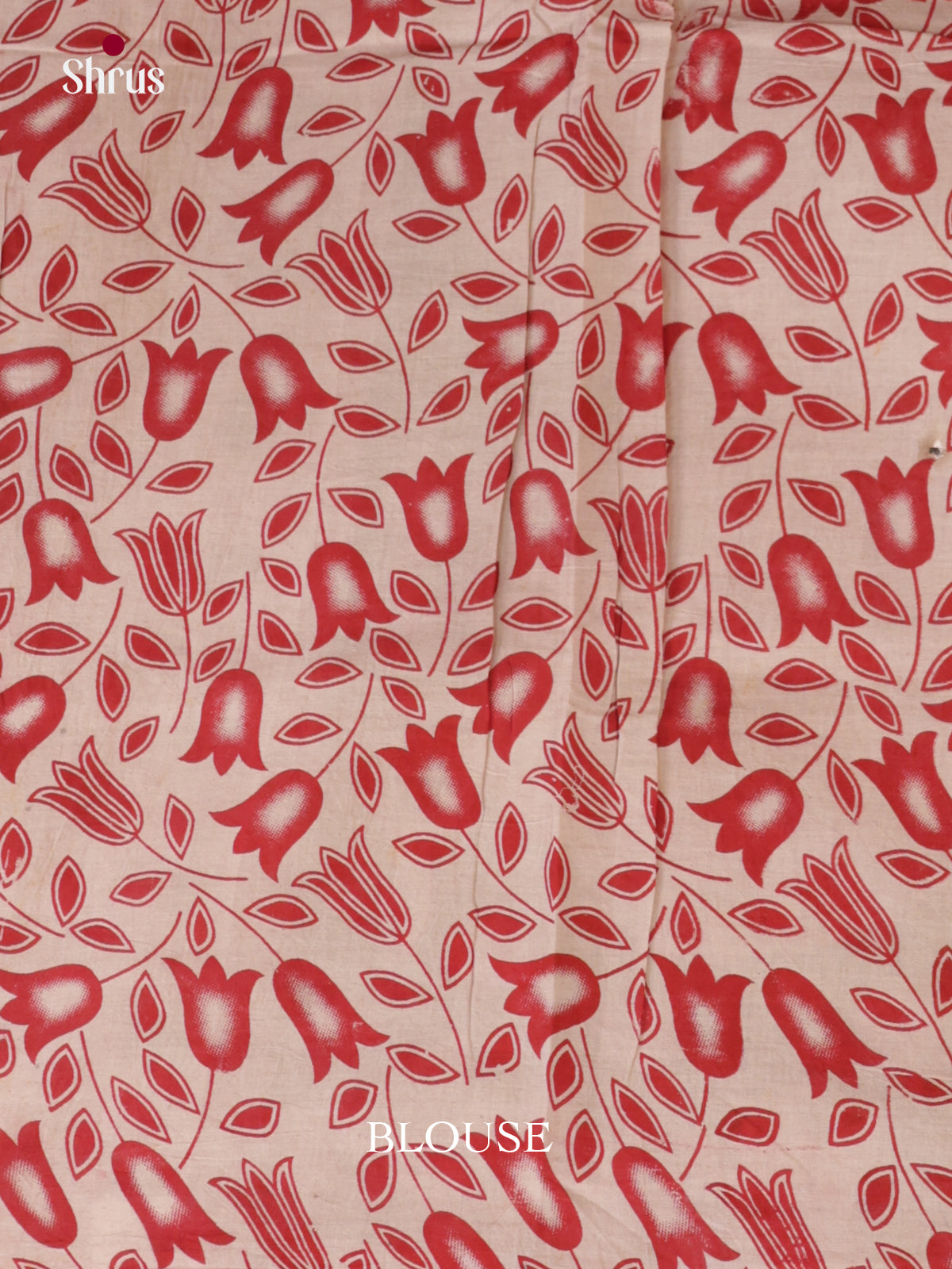 EBS01599 - kalamkari-cotton - Saree - Shop on Shrus.com
