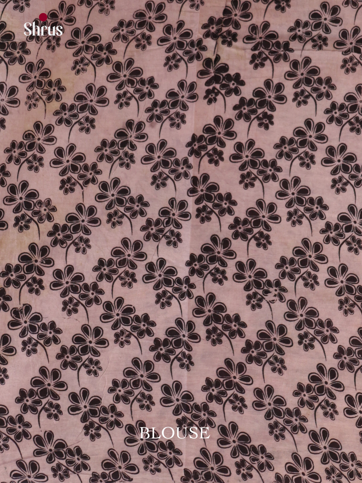 EBS01600 - kalamkari-cotton - Saree - Shop on Shrus.com