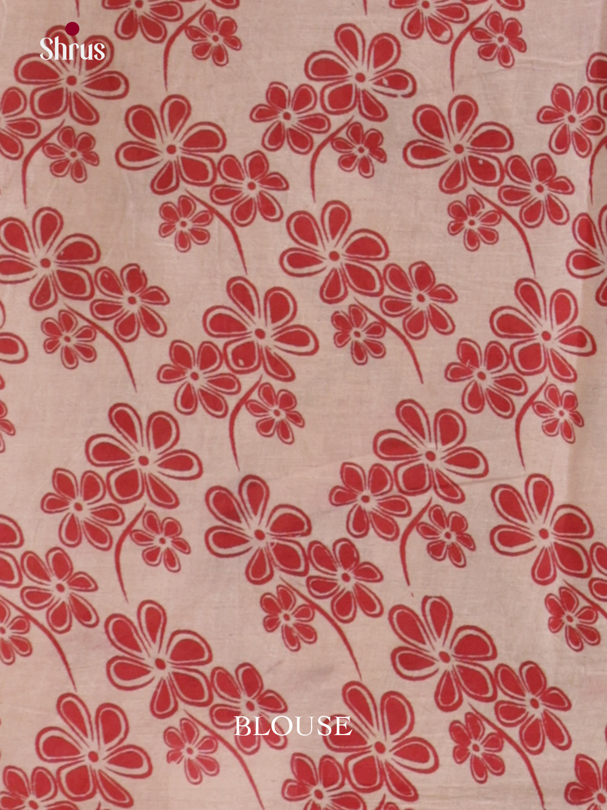 EBS01602 - kalamkari-cotton - Saree - Shop on Shrus.com