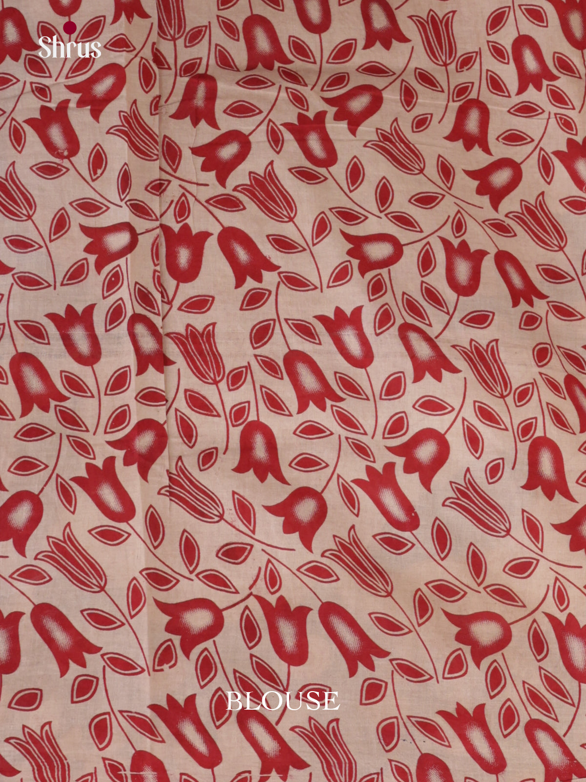EBS01609 - kalamkari-cotton - Saree - Shop on Shrus.com