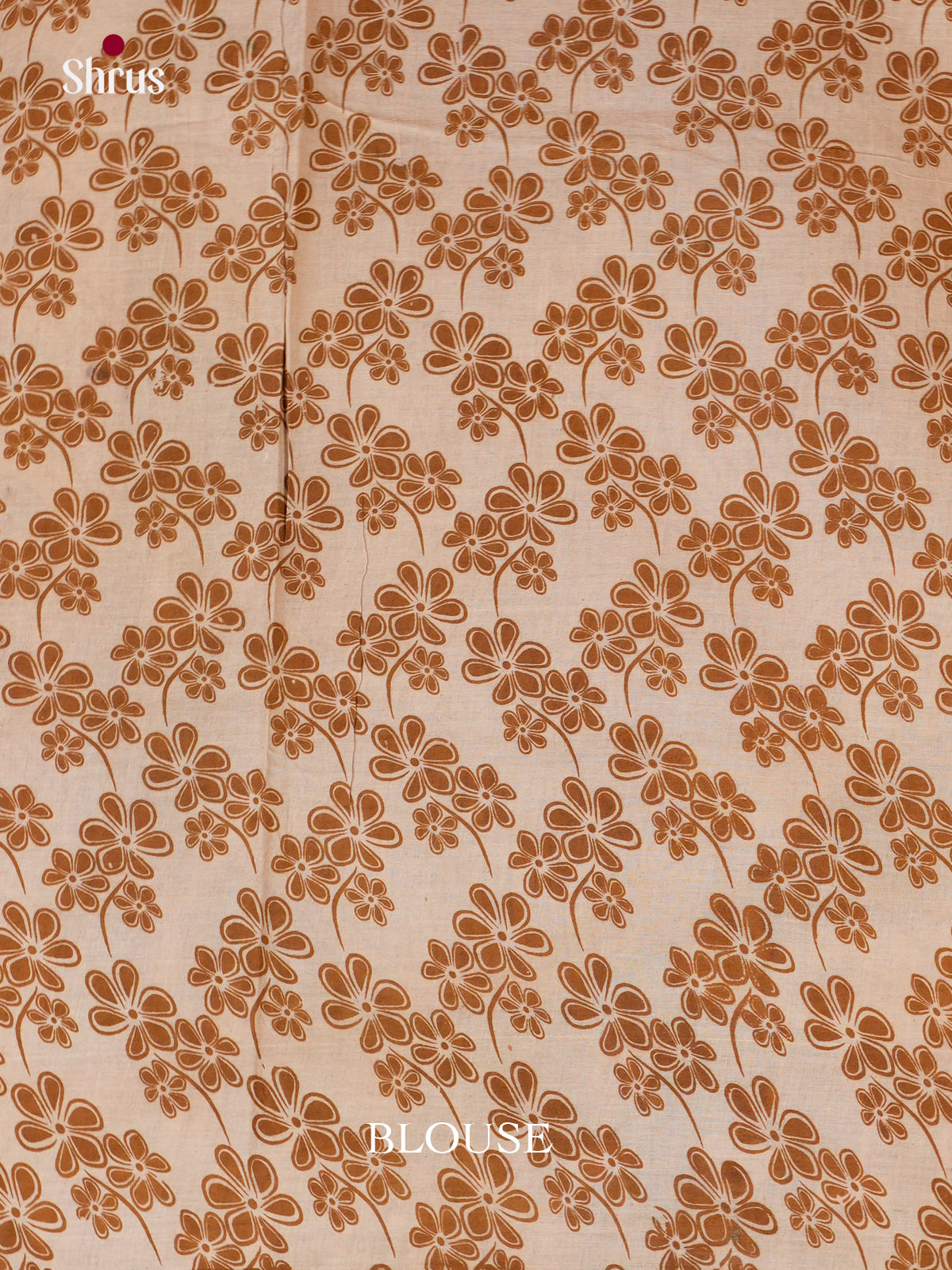 EBS01610 - kalamkari-cotton - Saree - Shop on Shrus.com