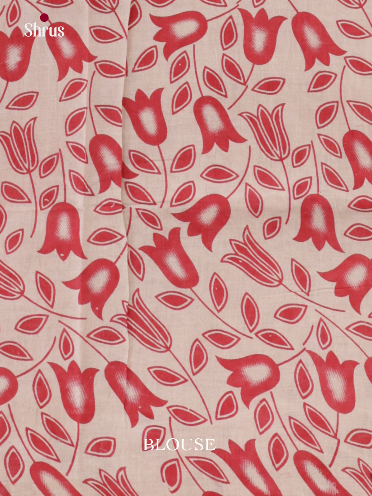 EBS01613 - kalamkari-cotton - Saree - Shop on Shrus.com