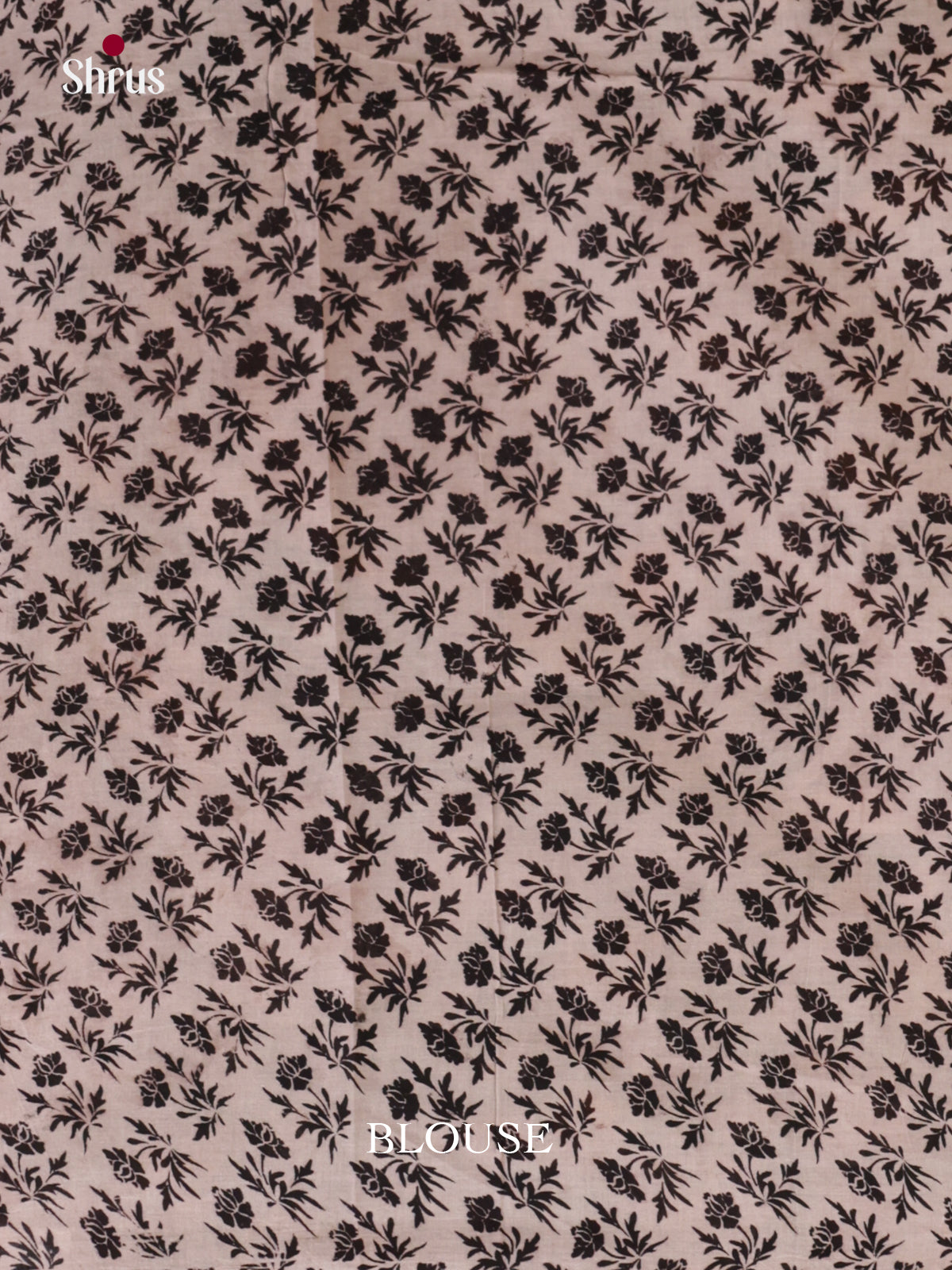 EBS01620 - kalamkari-cotton - Saree - Shop on Shrus.com