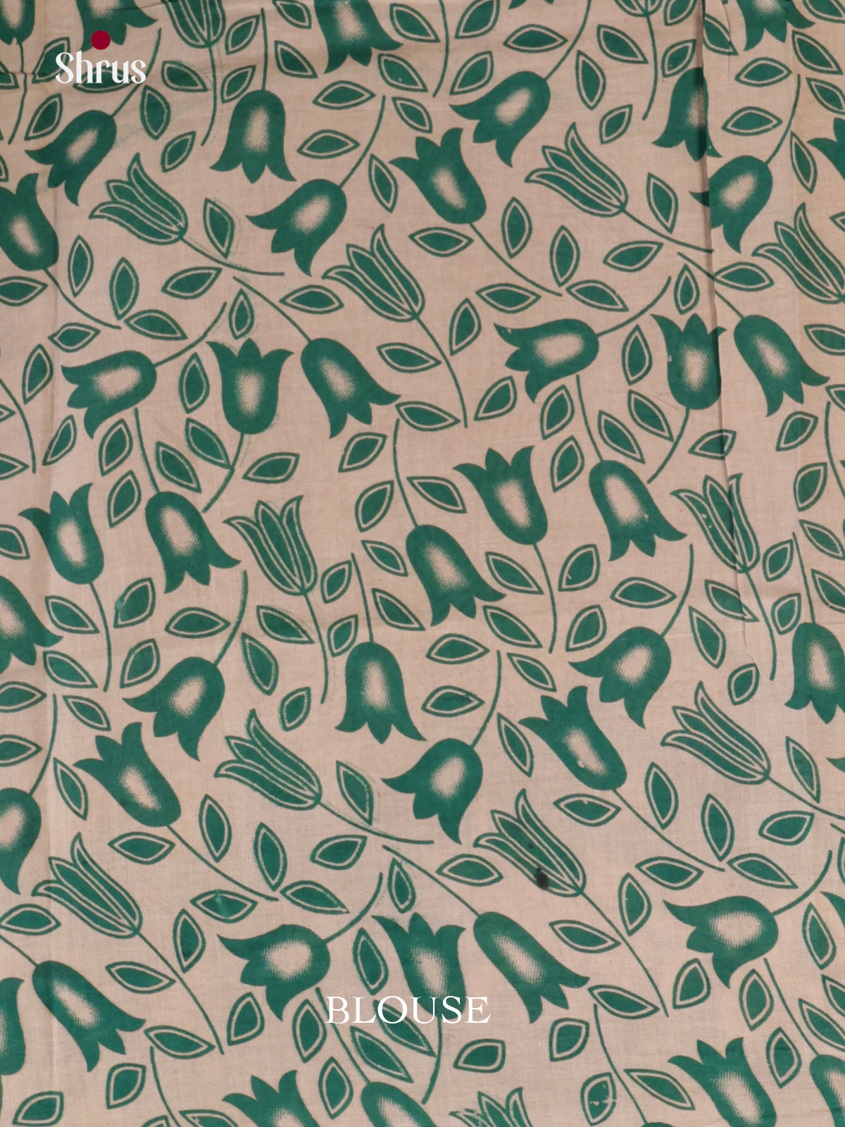 EBS01625 - kalamkari-cotton - Saree - Shop on Shrus.com