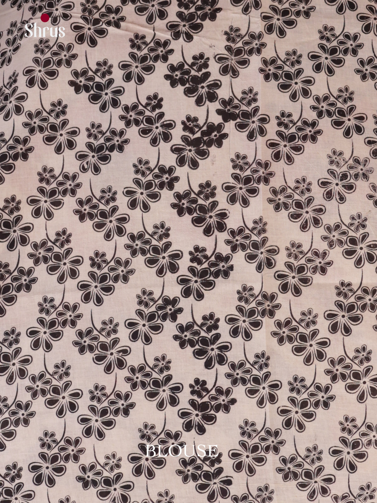EBS01710 - kalamkari-cotton - Saree - Shop on Shrus.com