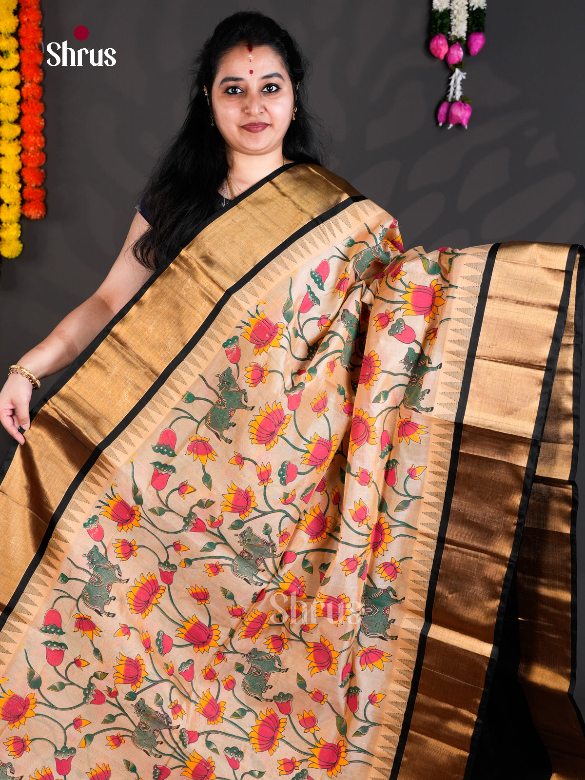 EBS01775 - Hindolam - Saree - Shop on Shrus.com