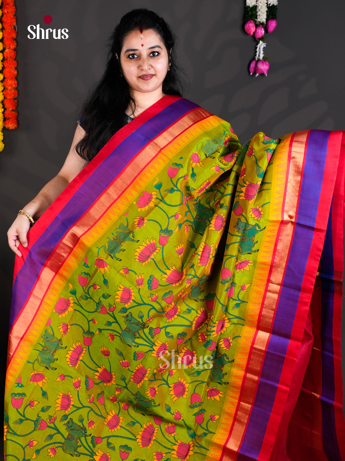 EBS01782 - Hindolam - Saree - Shop on Shrus.com