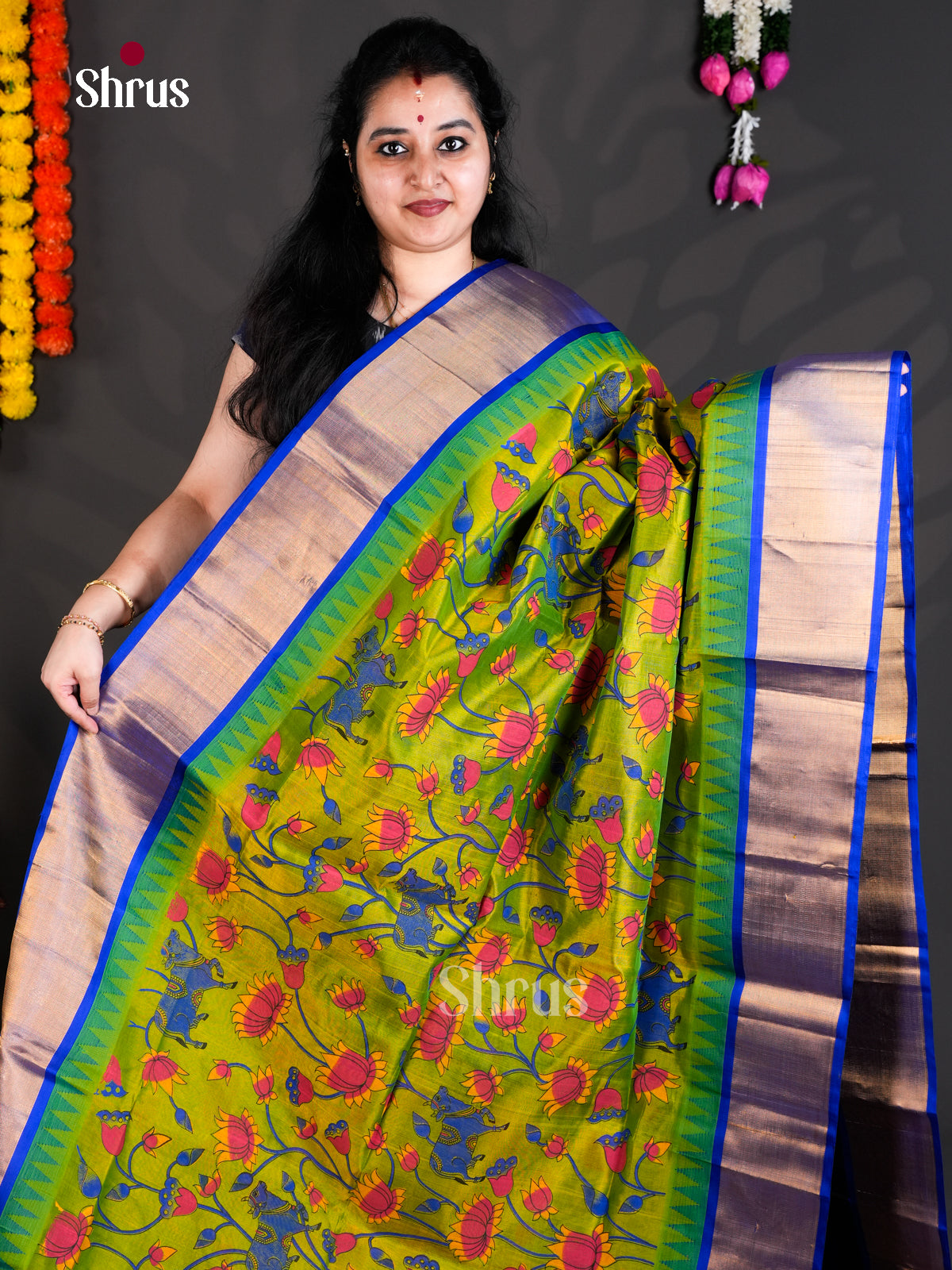 EBS01784 - Hindolam - Saree - Shop on Shrus.com