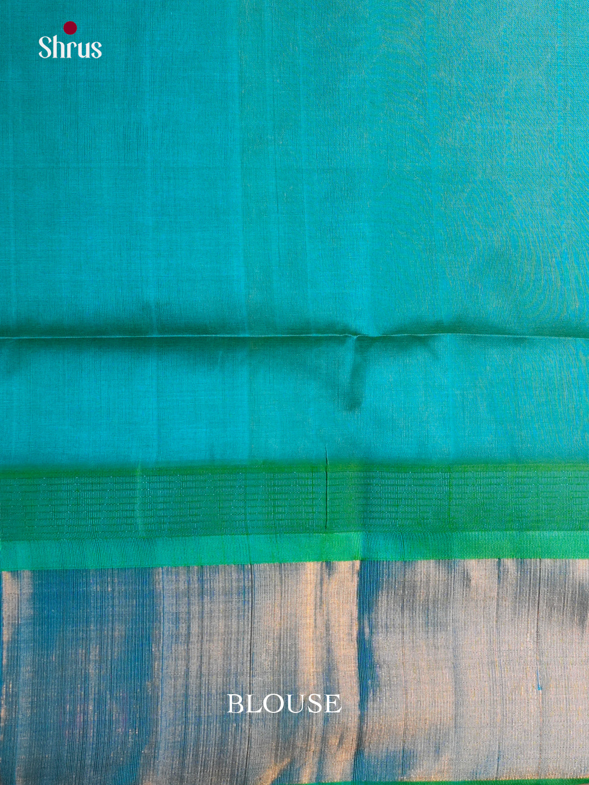 EBS01799 - Hindolam - Saree - Shop on Shrus.com