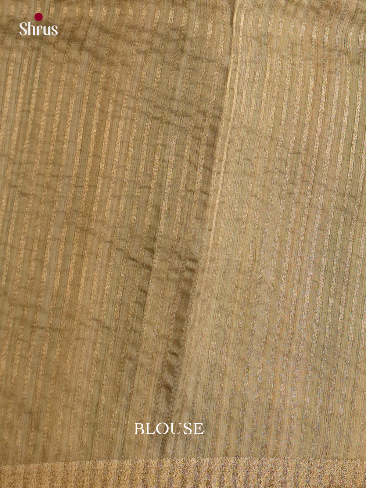 Printed Semi Tussar Saree - EBS04526 - Shop on Shrus.com