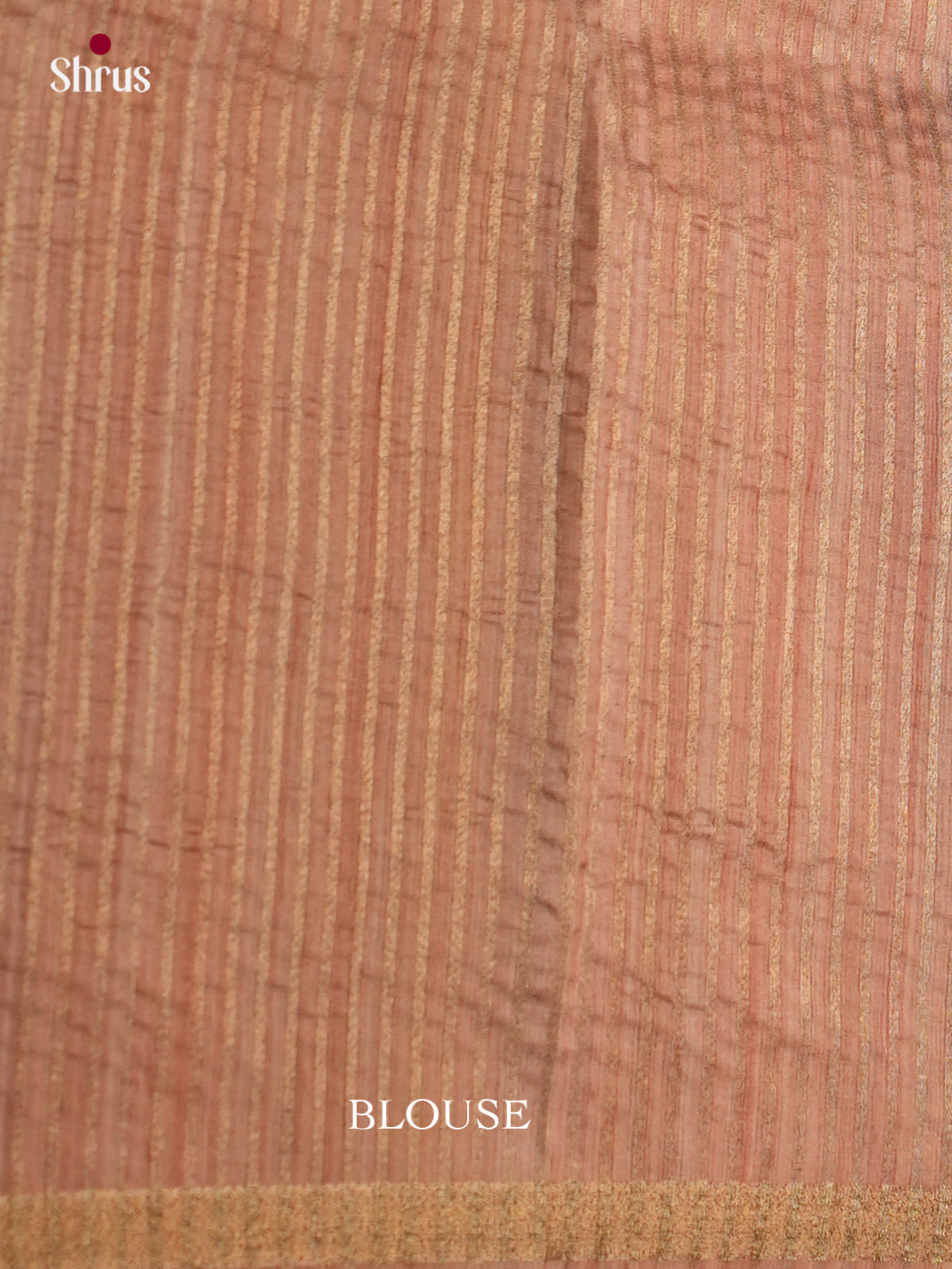 Printed Semi Tussar Saree - EBS04537 - Shop on Shrus.com