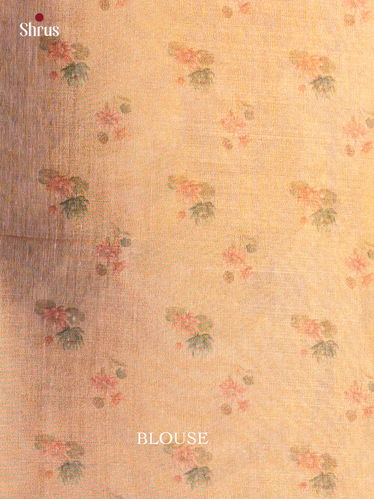 Semi Tissue Print Saree - EBS05045 - Shop on Shrus.com