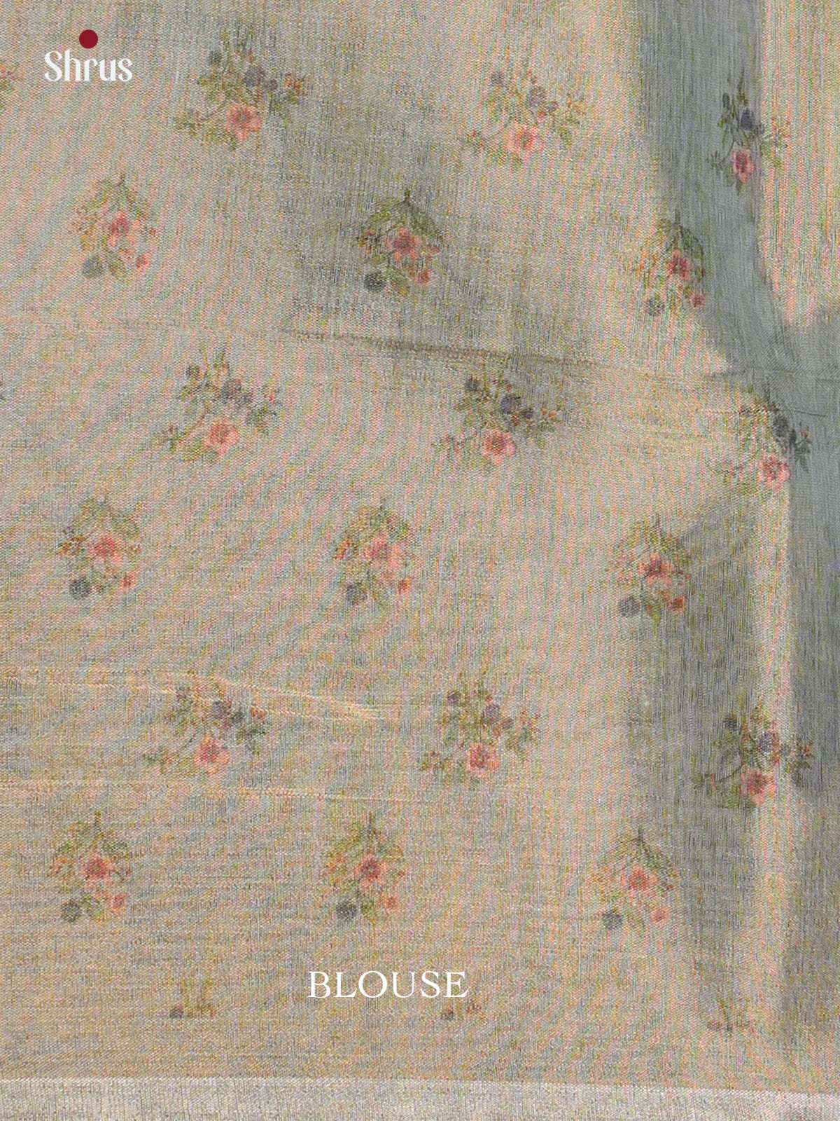 Semi Tissue Print Saree - EBS05054 - Shop on Shrus.com