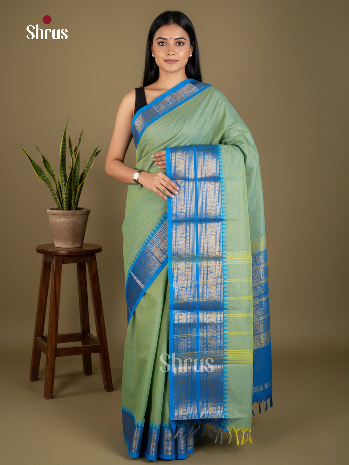 Pista Green & Blue - Chettinad Cotton - Saree- EBS06114 - Shop on Shrus.com