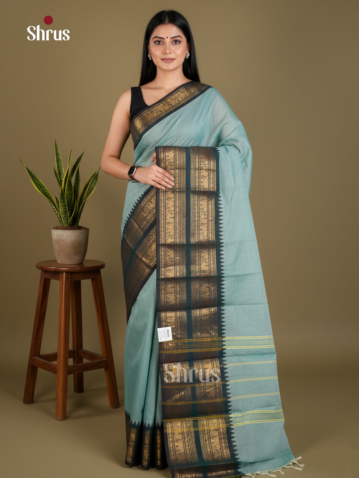 Light Blue & Green - Chettinad Cotton - Saree - EBS06118 - Shop on Shrus.com