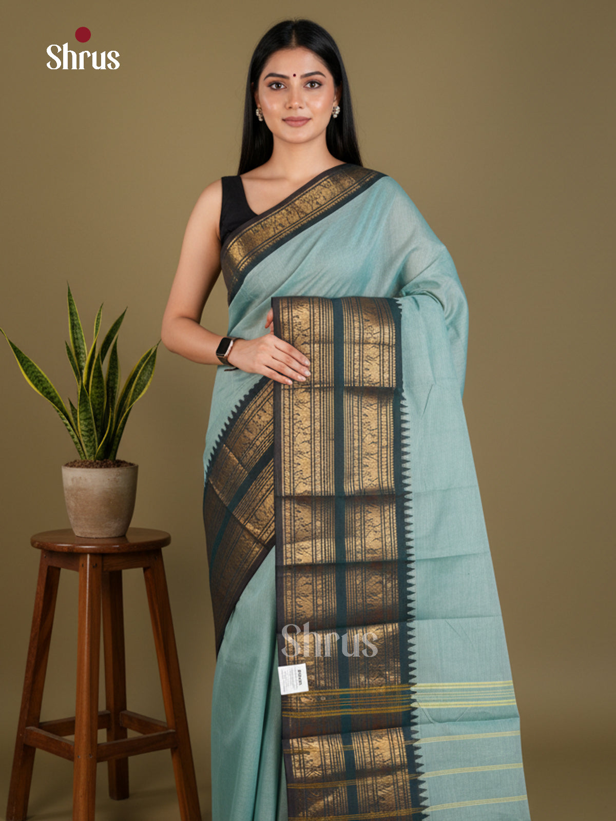 Light Blue & Green - Chettinad Cotton - Saree - EBS06118 - Shop on Shrus.com