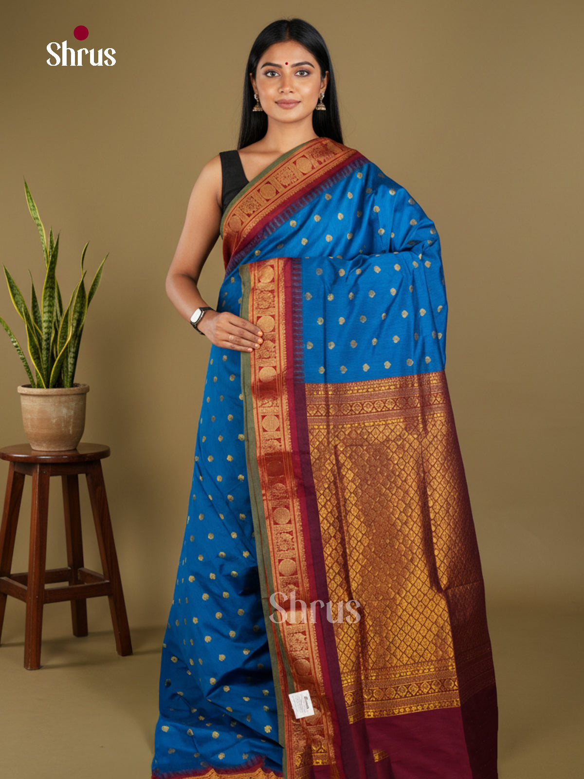 Kalyani Cotton Saree - EBS18127 - Shop on Shrus.com