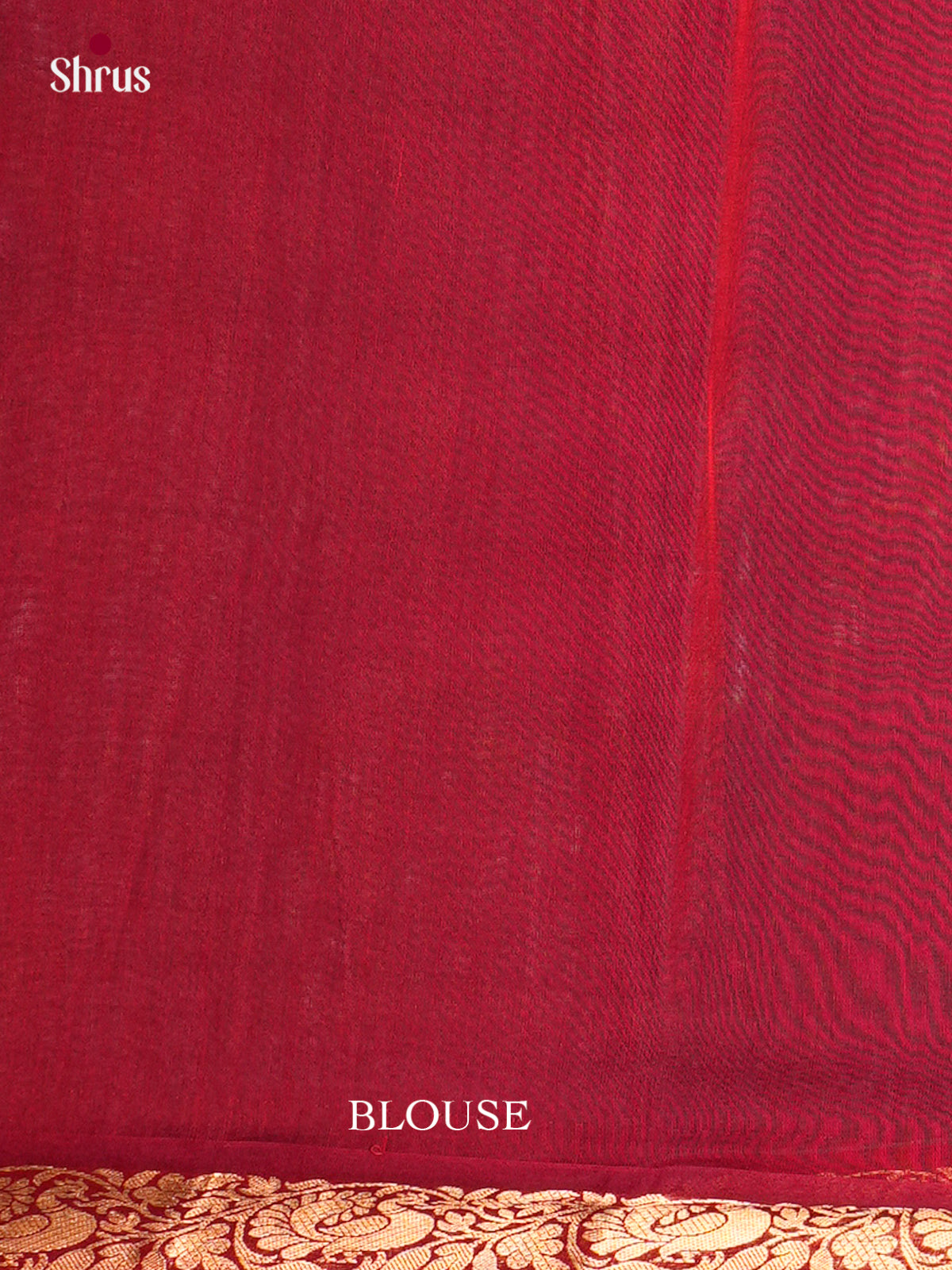 Silk Cotton Saree - EBS21121 - Shop on Shrus.com