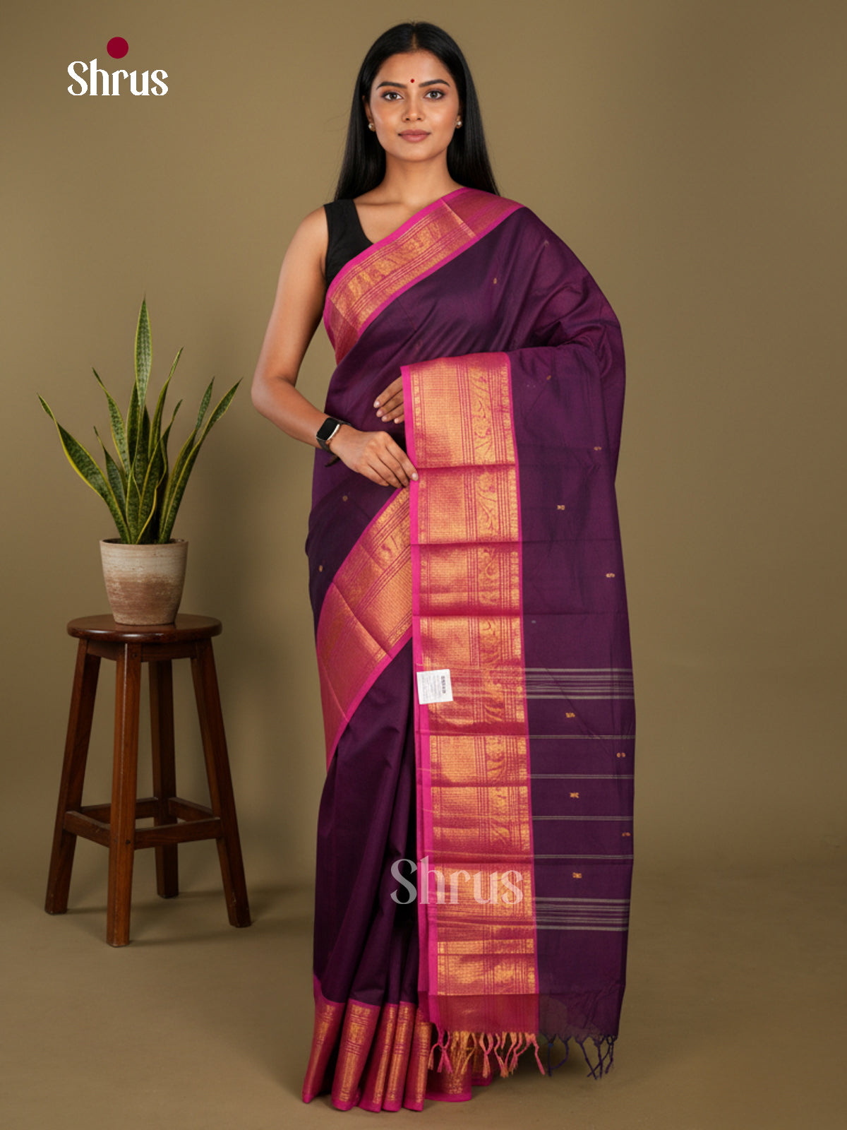 Chettinad Cotton Saree - EBS21162 - Shop on Shrus.com