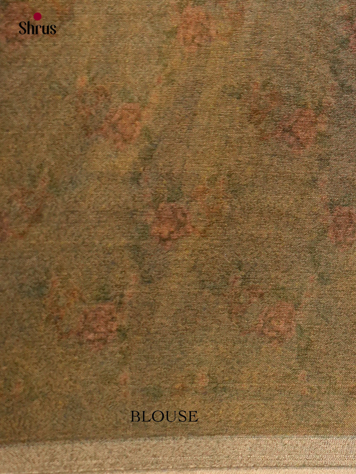 Semi Tissue Saree - ECS02074 - Shop on Shrus.com