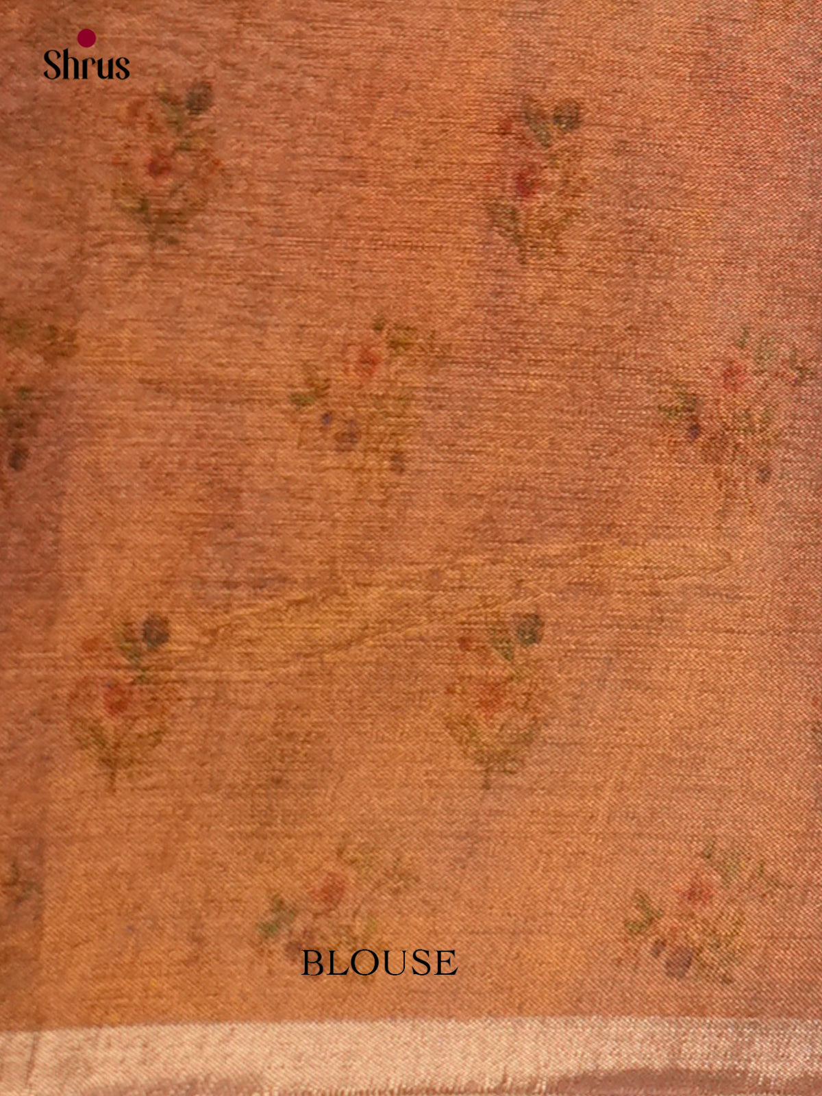 Semi Tissue Saree - ECS02079 - Shop on Shrus.com