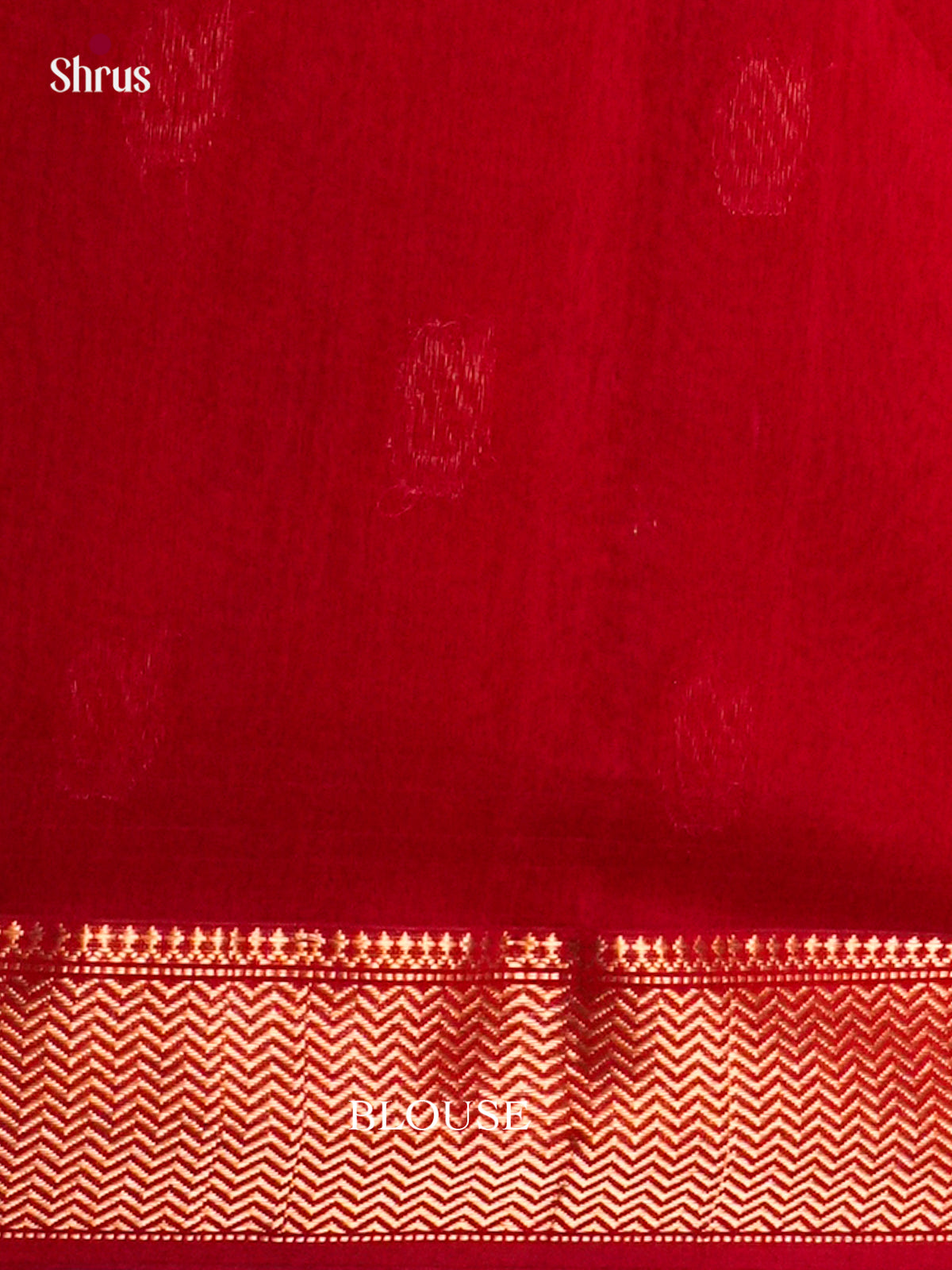 Maheshwari silkcotton Saree - ECS03017 - Shop on Shrus.com