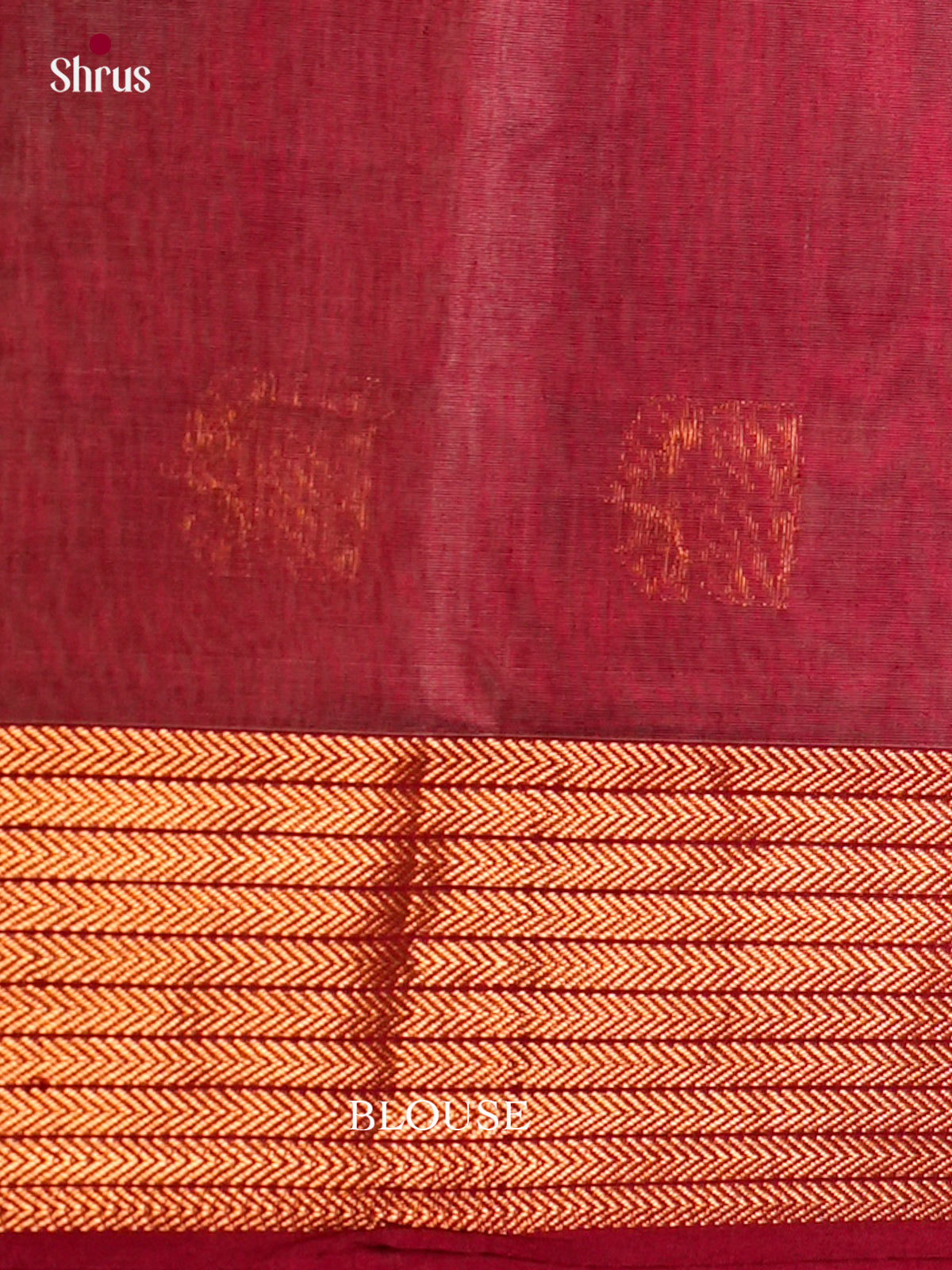 Maheshwari silkcotton Saree - ECS03059 - Shop on Shrus.com