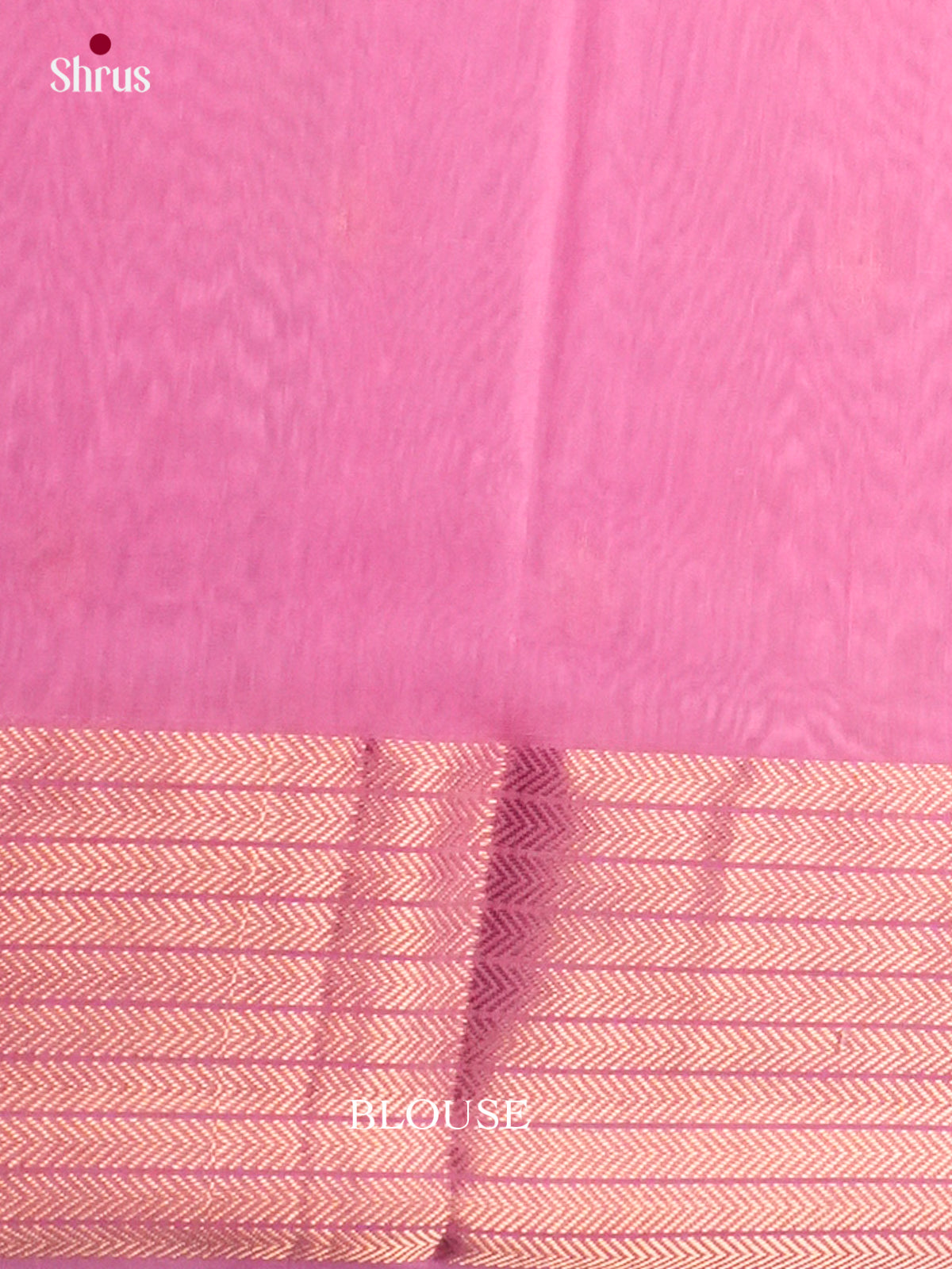 Maheshwari silkcotton Saree - ECS03084 - Shop on Shrus.com