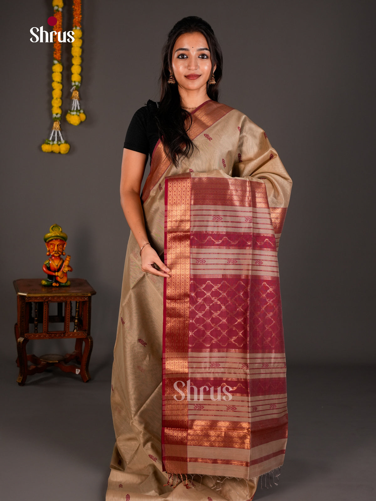 Maheshwari silkcotton Saree - ECS03104 - Shop on Shrus.com