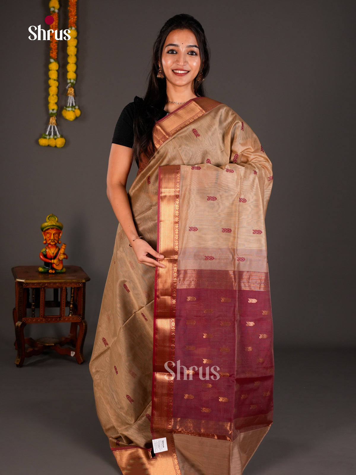 Maheshwari silkcotton Saree - ECS03109 - Shop on Shrus.com
