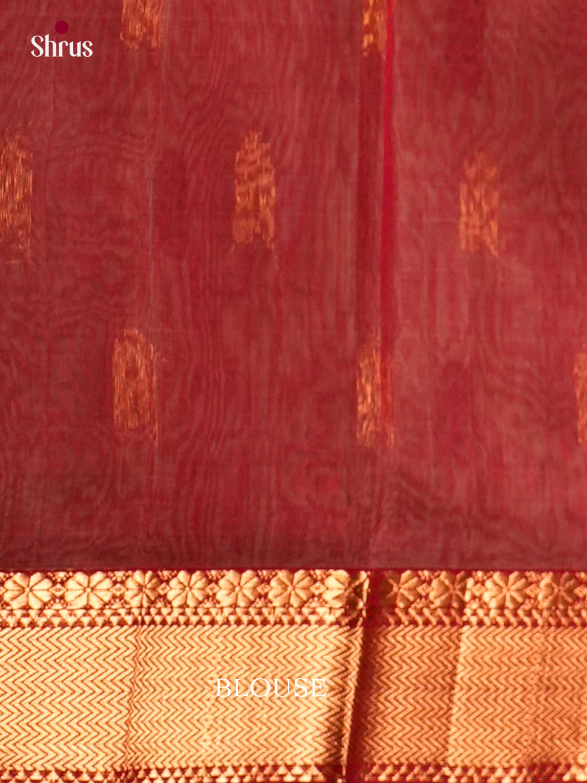 Maheshwari silkcotton Saree - ECS03109 - Shop on Shrus.com
