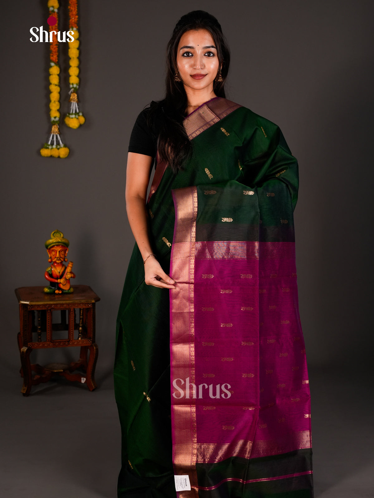 Maheshwari silkcotton Saree - ECS03110 - Shop on Shrus.com