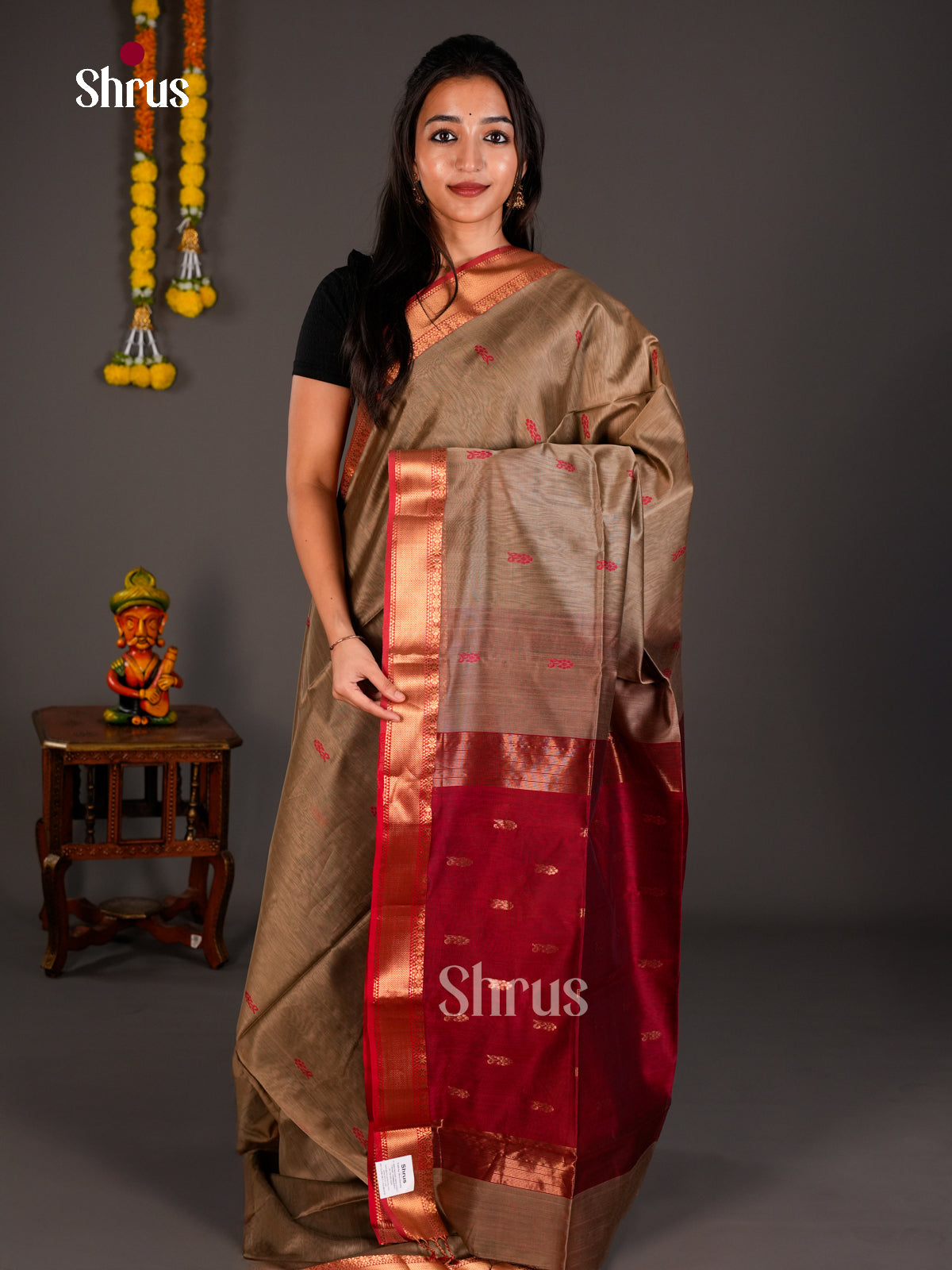 Maheshwari silkcotton Saree - ECS03111 - Shop on Shrus.com