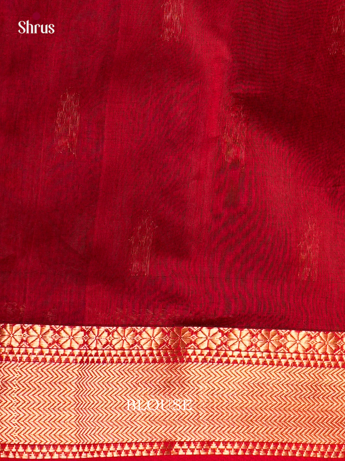Maheshwari silkcotton Saree - ECS03111 - Shop on Shrus.com