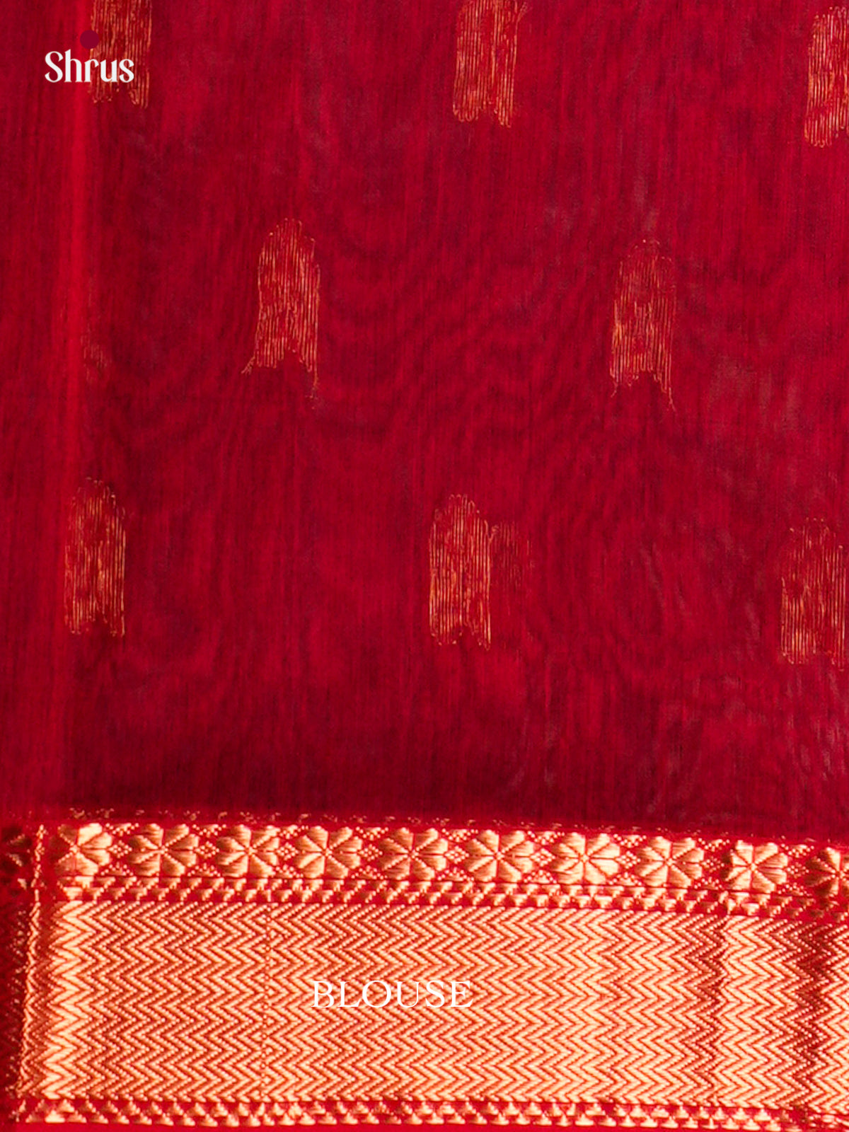 Maheshwari silkcotton Saree - ECS03112 - Shop on Shrus.com