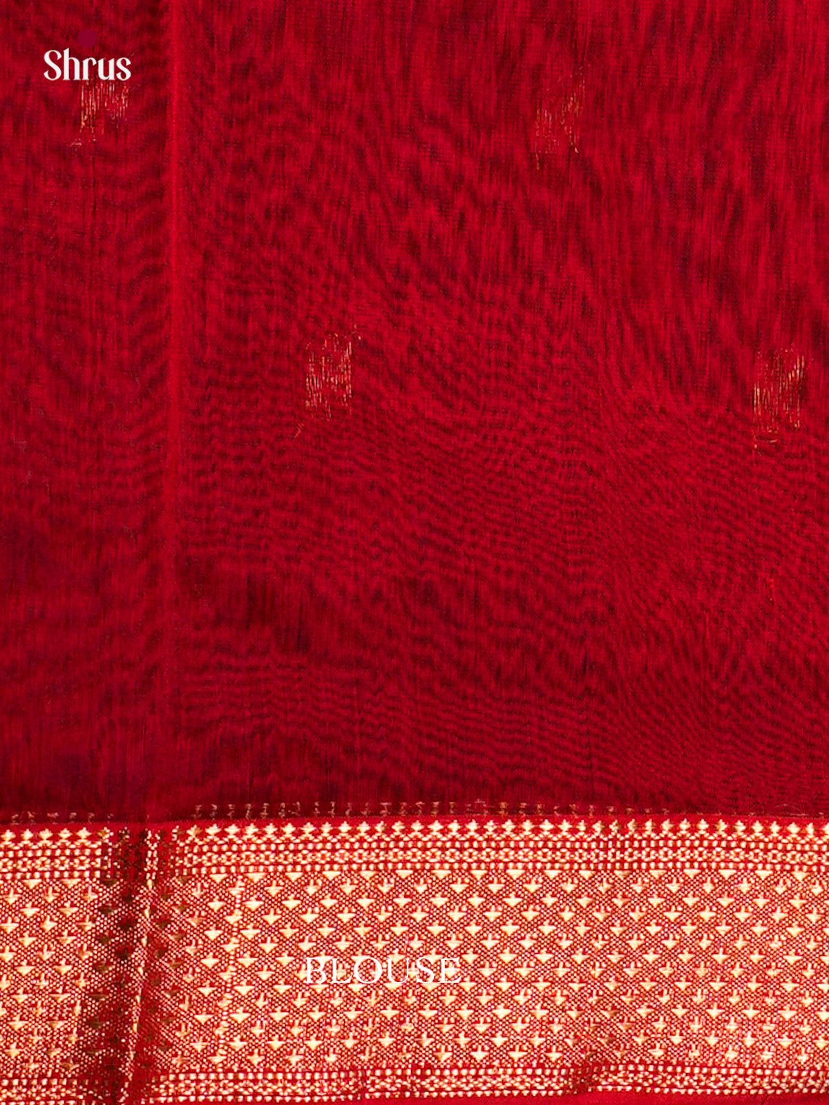 Maheshwari silkcotton Saree - ECS03126 - Shop on Shrus.com