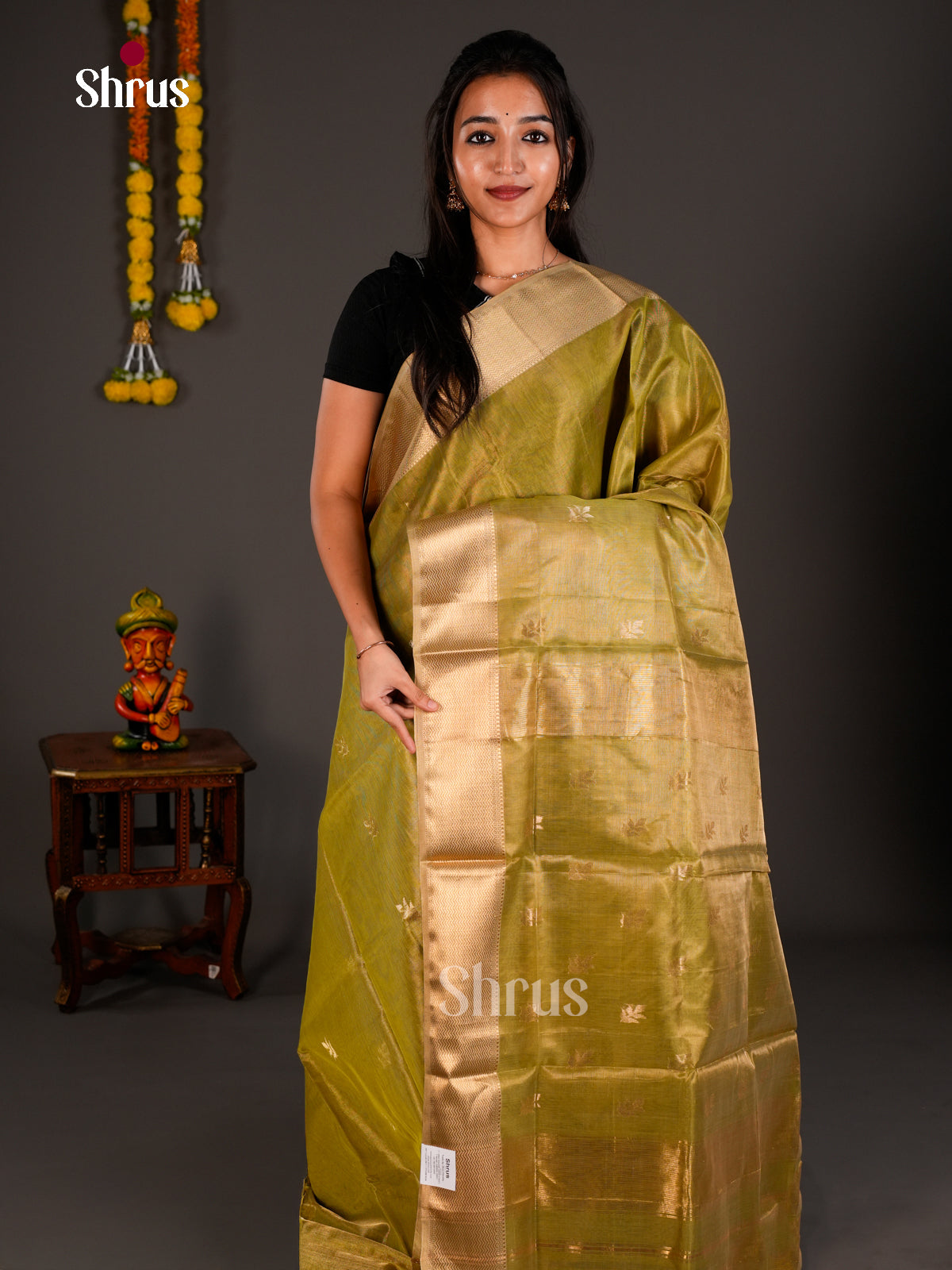 Maheshwari silkcotton Saree - ECS03255 - Shop on Shrus.com