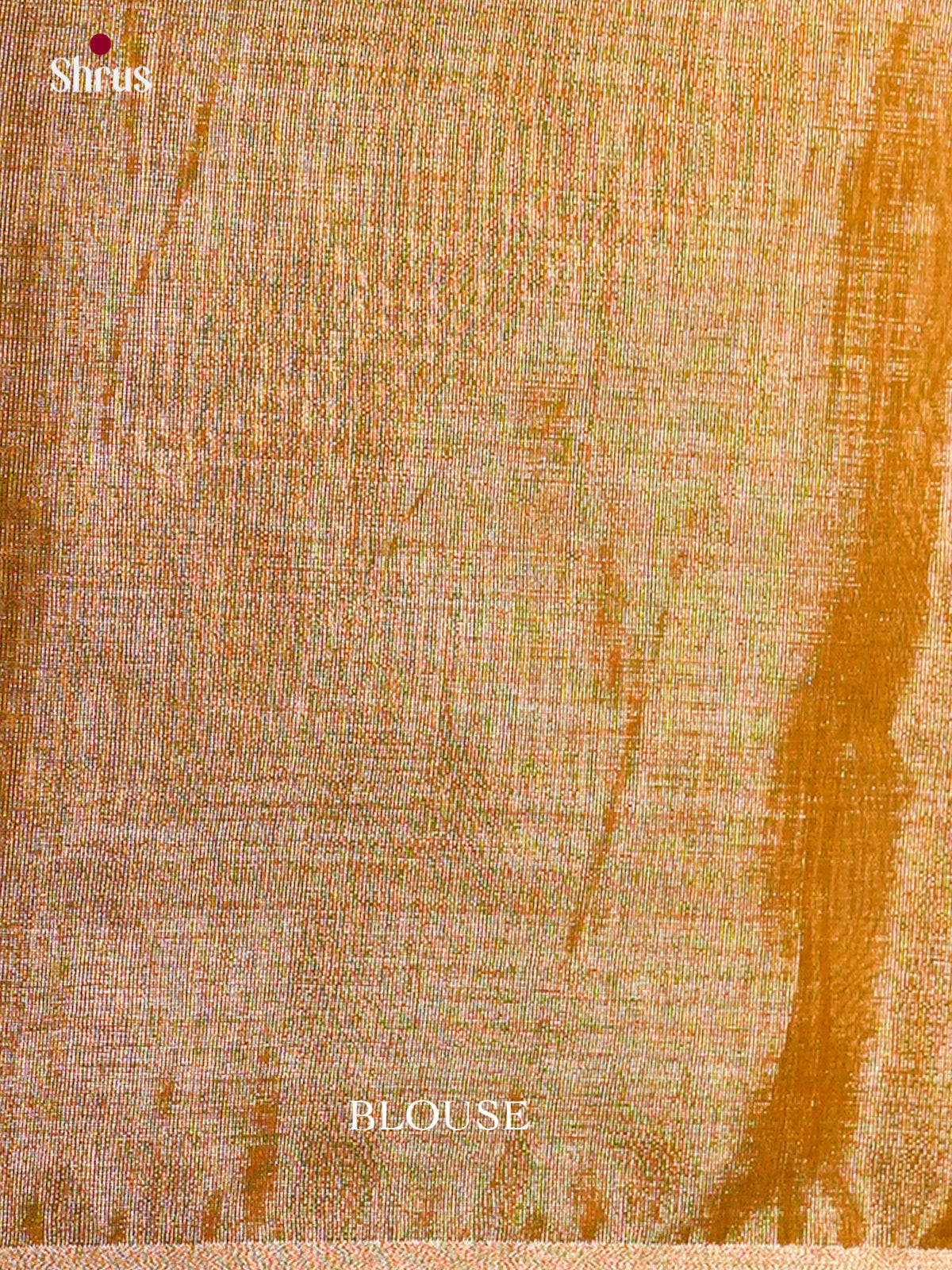 Maheshwari silkcotton Saree - ECS03265 - Shop on Shrus.com