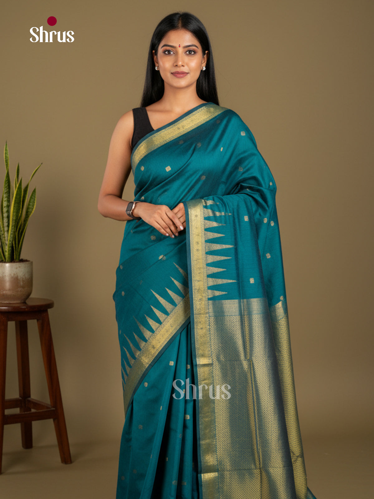 Kalyani Cotton Saree - ECS04031 - Shop on Shrus.com